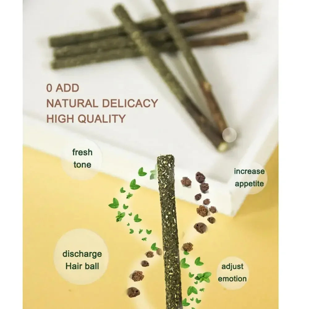 Natural Matatabi Cat Stick Mint Caught Bite Excited Rods Silvervine For Cat Teeth Cleaning Treating Pet Supply Cat Toys