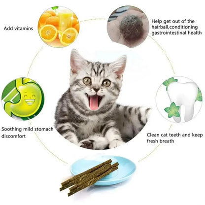 Natural Matatabi Cat Stick Mint Caught Bite Excited Rods Silvervine For Cat Teeth Cleaning Treating Pet Supply Cat Toys
